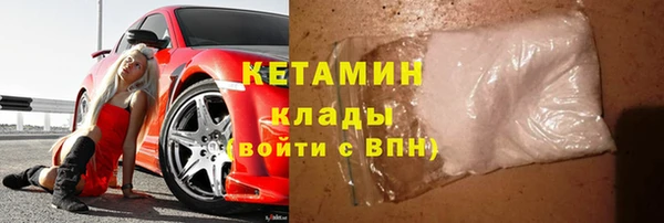прущие грибы Балабаново