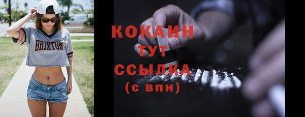 прущие грибы Балабаново