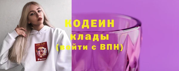 прущие грибы Балабаново
