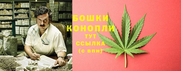 прущие грибы Балабаново