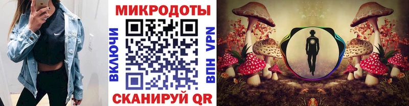 Галлюциногенные грибы ЛСД Чистополь